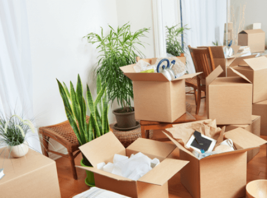 Local Packers and Movers in Krpuram
